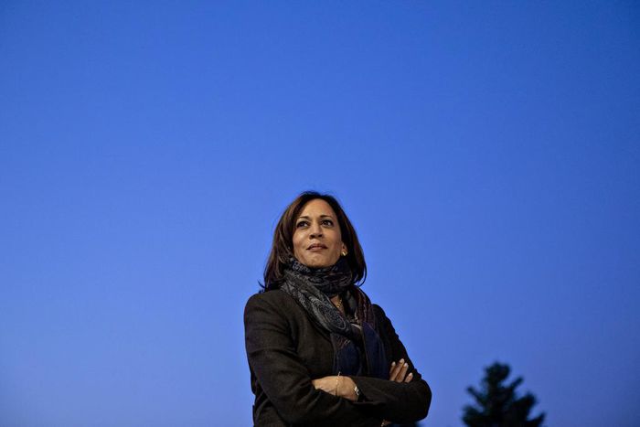 How Kamala Harris' Campaign Unraveled