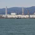 Clean-up efforts at Japan's Fukushima nuclear power have reduced adiation levels in some areas by 80 percent but forested land remains untouched and is a potential source of contamination for years to come