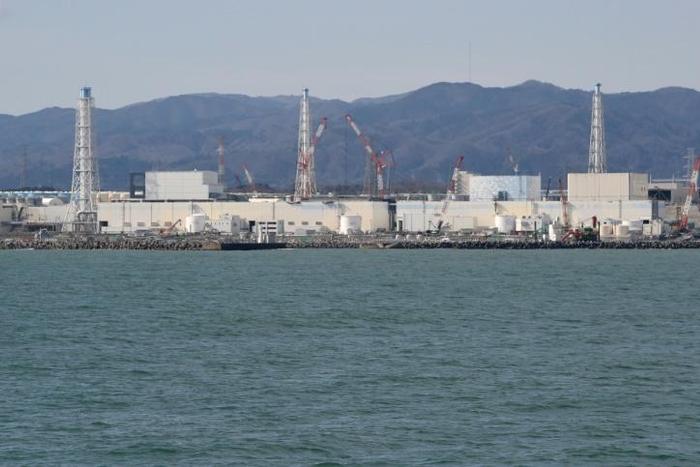 Clean-up efforts at Japan's Fukushima nuclear power have reduced adiation levels in some areas by 80 percent but forested land remains untouched and is a potential source of contamination for years to come