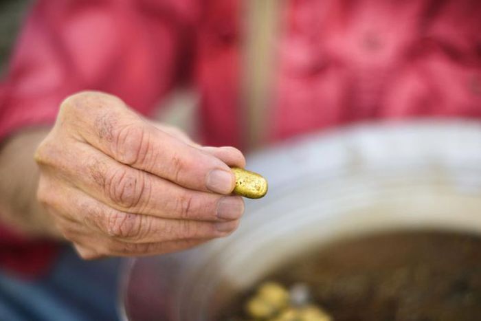 Dr. Pimple Popper Goes Digging For Ear Cyst Gold