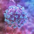 FILE PHOTO: A computer image created by Nexu Science Communication together with Trinity College in Dublin, shows a model structurally representative of a betacoronavirus which is the type of virus linked to COVID-19, better known as the coronavirus li...
