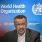 WHO chief Tedros Adhanom Ghebreyesus warned that confirmed cases of coronavirus being transmitted by people who have never travelled to China could be the 'tip of the iceberg'