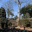 The tourists were part of a group that arrived in Siem Reap, home to the famed Angkor Wat temple complex