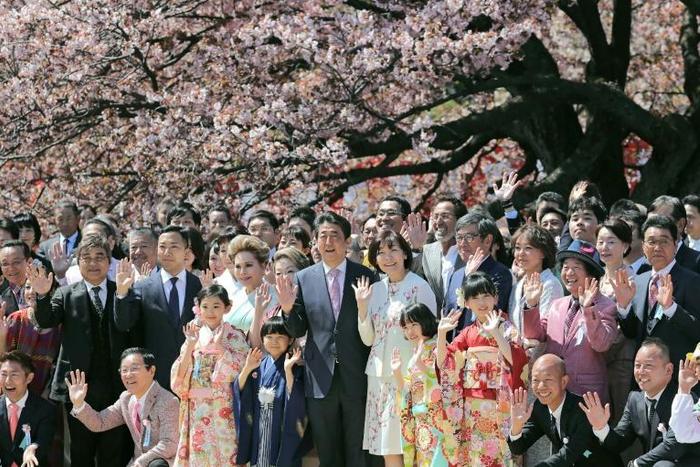 Japan's publicly funded cherry blossom party is intended to honour the great and the good for their achievements