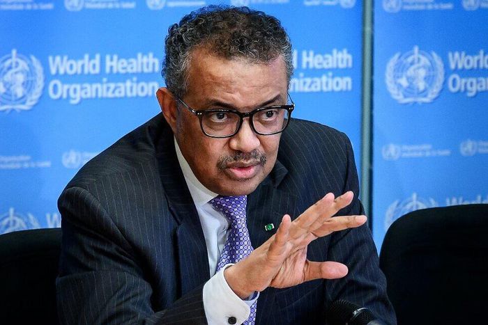 "The best advice for Africa is to prepare for the worst and prepare today - WHO boss (video)