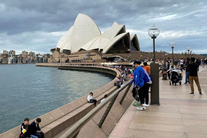 Some passengers on the Ruby Princess cruise ship were displaying flu-like symptoms when it berthed in Sydney Harbour