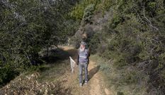 Meet the scientist who’s been counting California butterflies for 47 years