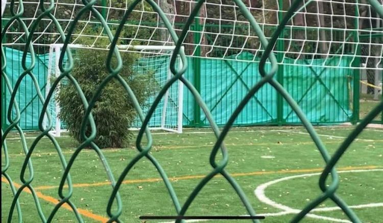 New football pitch has two living trees as goalkeepers, court order says nobody should touch them (video)