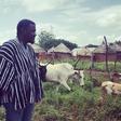 Make local rice more affordable to Ghanaians – Dumelo urges local farmers