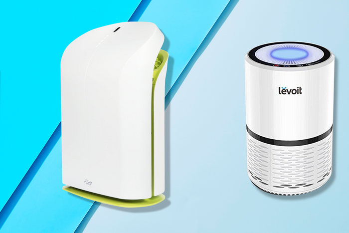 The 8 Best Air Purifiers You Can Buy Online