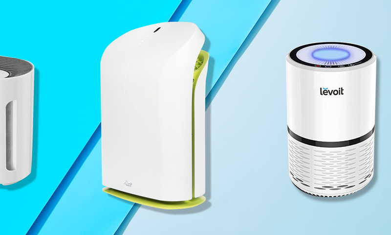 The 8 Best Air Purifiers You Can Buy Online