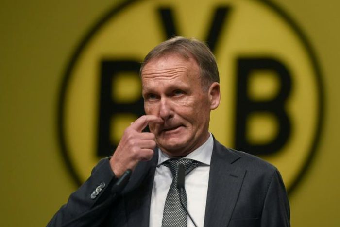 Hans-Joachim Watzke was appointed Borussia Dortmund CEO in 2005