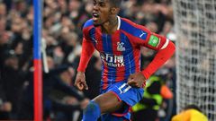 Get in - Crystal Palace striker Wilfried Zaha celebrates his equaliser in a 1-1 draw with Brighton