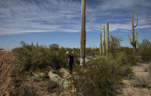 Tribal Nation Condemns 'Desecration' to Build Border Wall