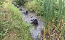 Armed Forces train Customs Officers