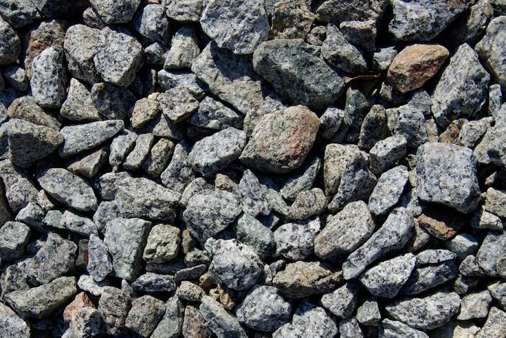 Dr. Pimple Popper Drags Out a 'Gravel' Blackhead