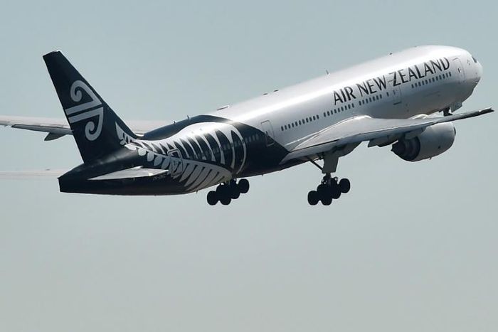 Air New Zealand has taken a hard hit from the coronavirus crisis, so the government stepped in