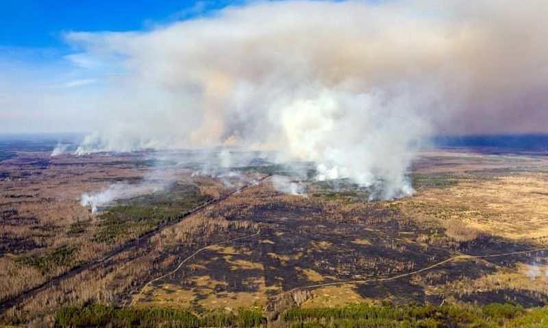 Police said a man burning dry grass started the fire near the exclusion zone around the ruined reactor