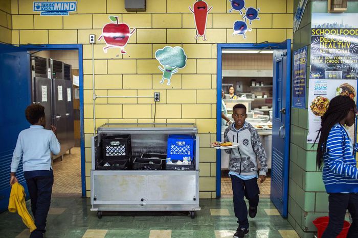 A Long Day Begins Before Sunrise