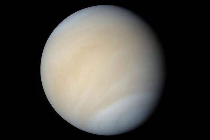 Volcanoes on Venus Might Still be Smoking