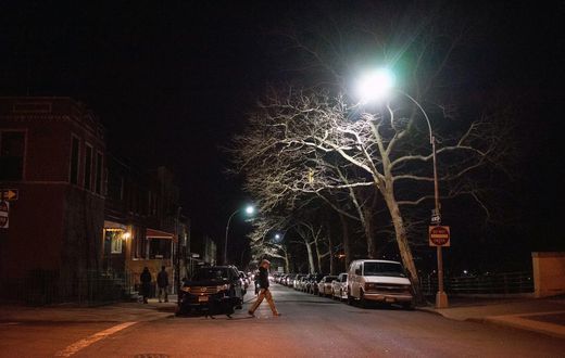 Secret Service Agent Kills Dog, Unnerving a Brooklyn Neighborhood