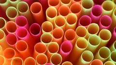 Watch Dr. Pimple Popper Pop Back Blackheads