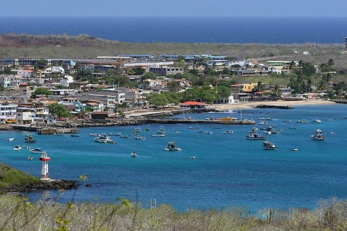 Four permanent residents of the Galapagos archipelago have tested positive for the COVID-19 disease