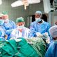 Doctors of the operation