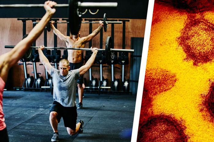 How Gyms Are Handling Coronavirus