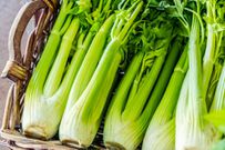 20 Keto-Friendly Vegetables That Are Incredibly Low-Carb