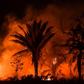 A fire viewed from the trans-Amazon BR163 highway, near Itaituba, Para state, Brazil in the Amazon rainforest, on September 10, 2019