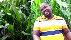 How “God’s direction” to a Ghanaian pastor to convert the roof of his house into farmland  works perfectly (video)
