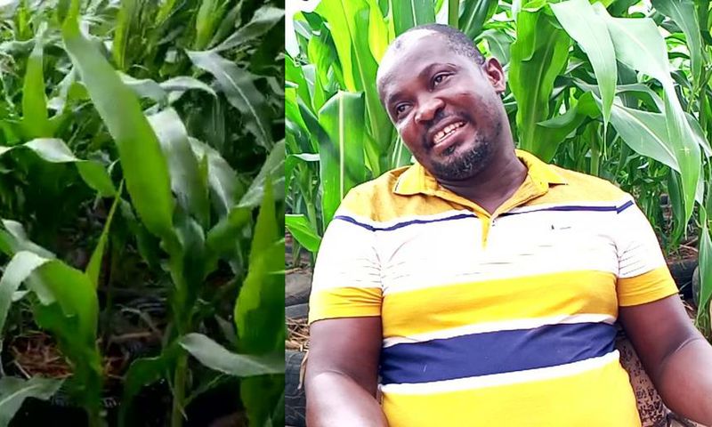 How “God’s direction” to a Ghanaian pastor to convert the roof of his house into farmland  works perfectly (video)