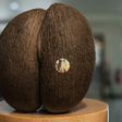 The coco de mer only grows on two Seychelles islands