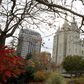 The Mormon Church is suspending all public ceremonies and gatherings of its members around the world