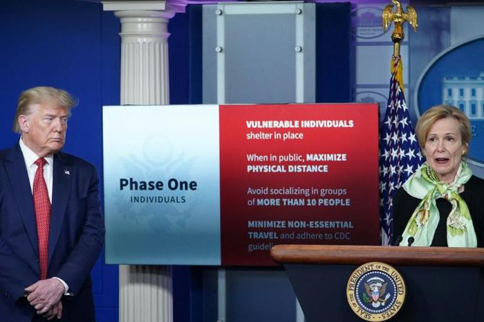 US President Donald Trump and government coordinator Dr Deborah Birx lay out the plan for reopening the economy