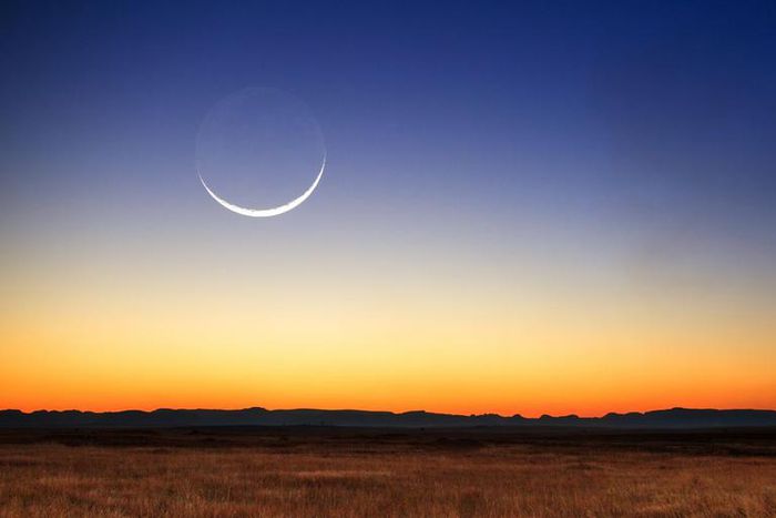What The New Moon In Taurus Means For Your Sign