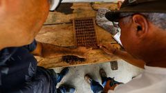 Men test dry cocoa beans at the Sagarama farm in Coaraci, Bahia state, Brazil