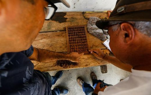 Men test dry cocoa beans at the Sagarama farm in Coaraci, Bahia state, Brazil