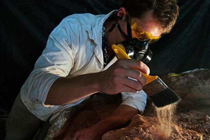 Paleontologist Rodrigo Temp Muller examines a dinosaur fossil at a research center in Sao Joao do Polesine, Brazil -- the town is a treasure trove of fossils, and the site of the discovery of the first Gnathovorax skeleton