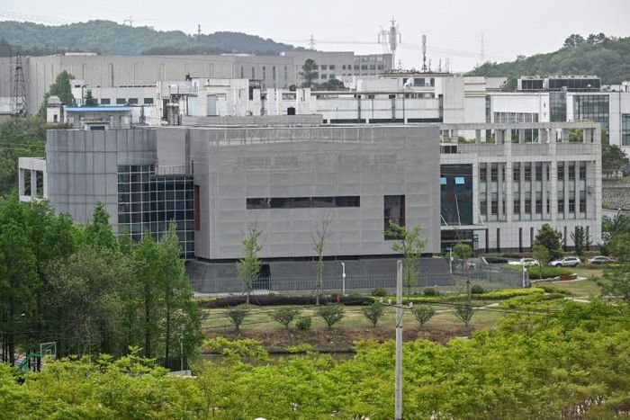 The existence of the lab has fuelled conspiracy theories that the germ spread from the Wuhan Institute of Virology, specifically its P4 laboratory