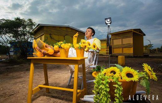 Nana Ama McBrown in Alo Vera film