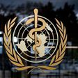 The World Health Organization issued its first guidance on coronavirus on January 10, and declared the outbreak a 'public health emergency of international concern' on January 30