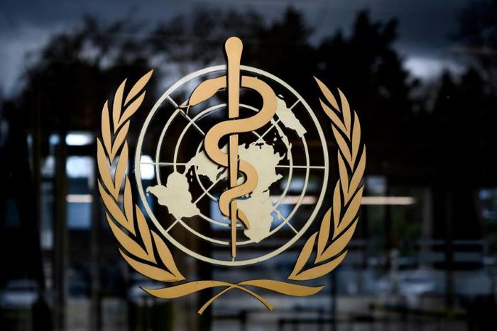 The World Health Organization issued its first guidance on coronavirus on January 10, and declared the outbreak a 'public health emergency of international concern' on January 30
