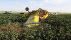 'Gender Reveal' Celebration in Texas Led to a Plane Crash