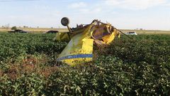 'Gender Reveal' Celebration in Texas Led to a Plane Crash