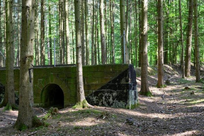 The 1930s era project has been swallowed up in the Bavarian forest