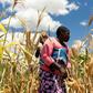 Zimbabwe is in the throes of a drought that has created havoc amid sky-high inflation