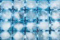 11 Ways to Get Rid of Mosquito Bites and Beat That Annoying Itch