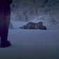 The Mandalorian's Latest Mystery Could Be Anyone